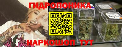 прущие грибы Мариинск