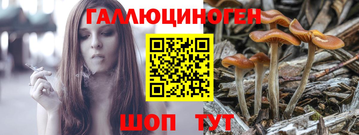 Галлюциногенные грибы прущие грибы  Вход с VPN  что такое наркотик  Галлюциногенные грибы Magic Shrooms  Унеча 